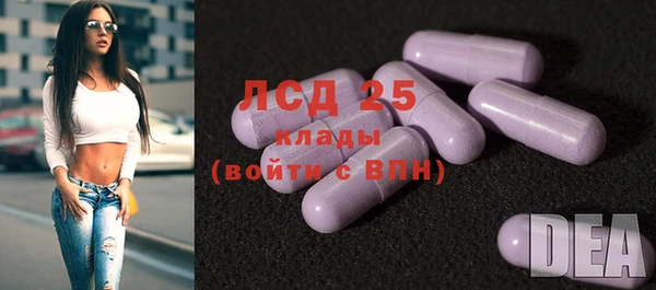 спайс Бикин