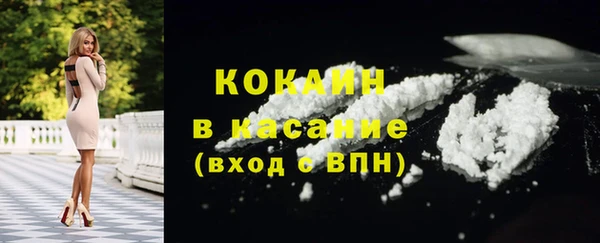 Альфа ПВП Бородино