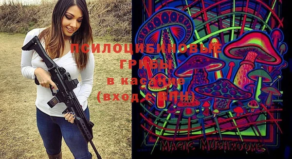 Альфа ПВП Бородино