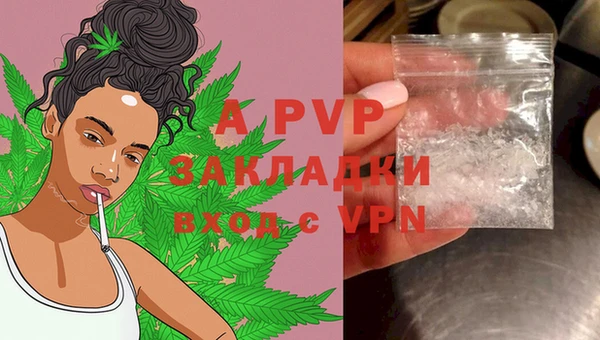 Альфа ПВП Бородино