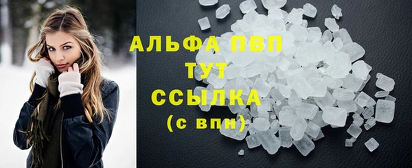 Альфа ПВП Бородино