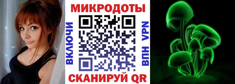 Псилоцибиновые грибы мицелий где можно купить Валдай