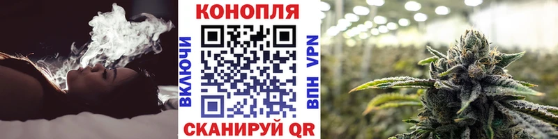 Шишки марихуана планчик  shop формула  Валдай 